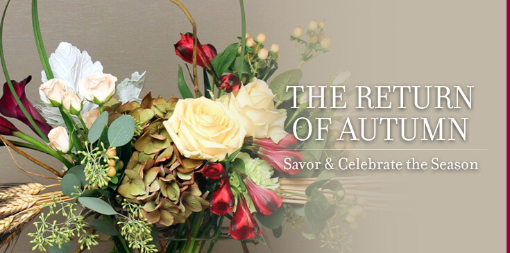 seasonal fall flowers
