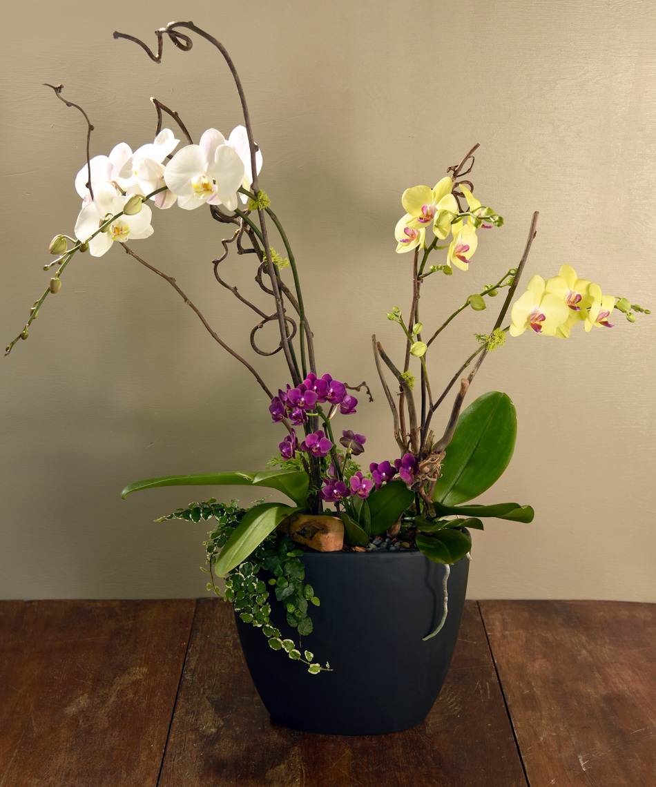 floral designs
