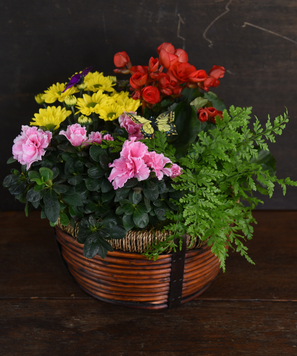 floral designs