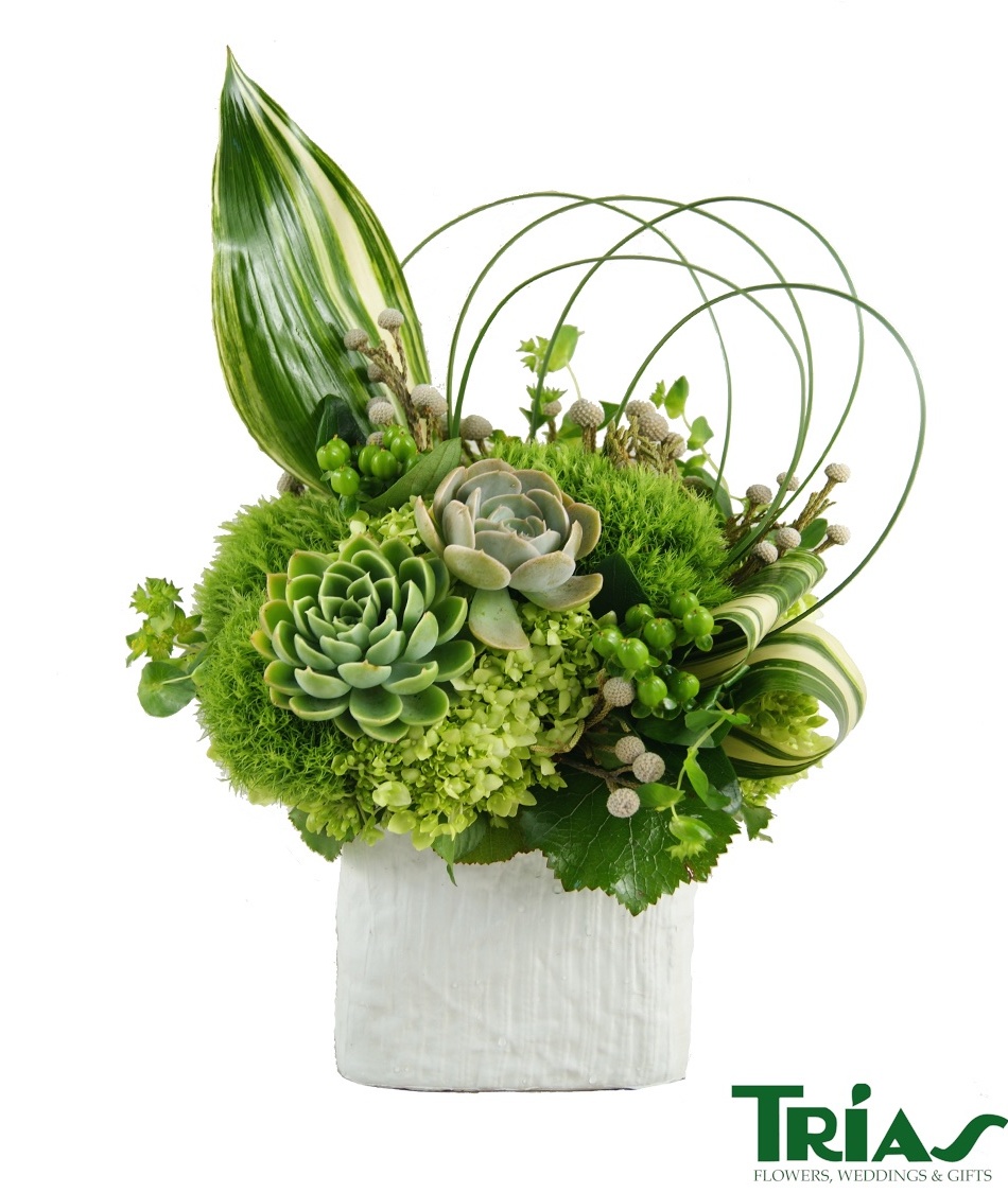 St. Patrick's Day