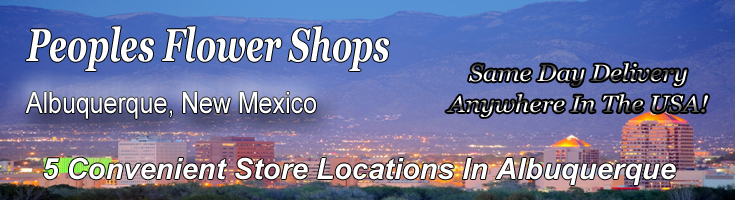 Albuquerque New Mexico Page Banner_edited-1