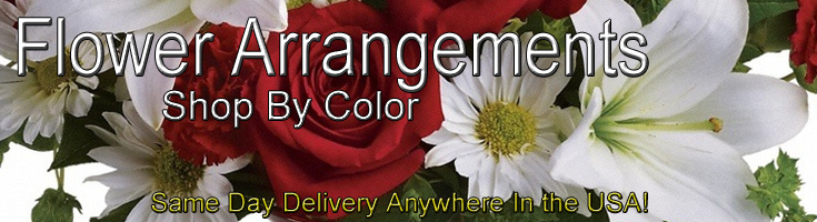 Flowers Shop By Color