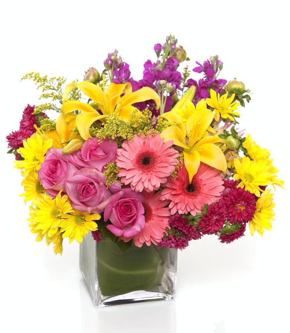 Flower Therapy Get Well Flowers Plants And Gifts Peoples Flowers