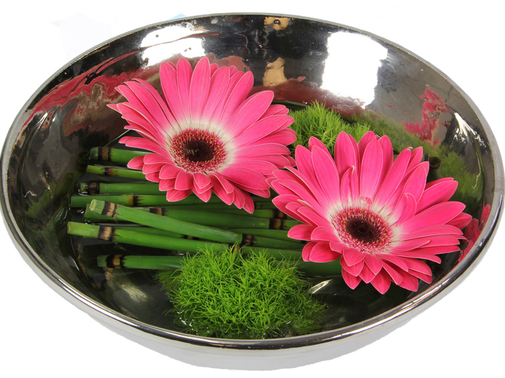 gerbera daisies - in zen bowl
