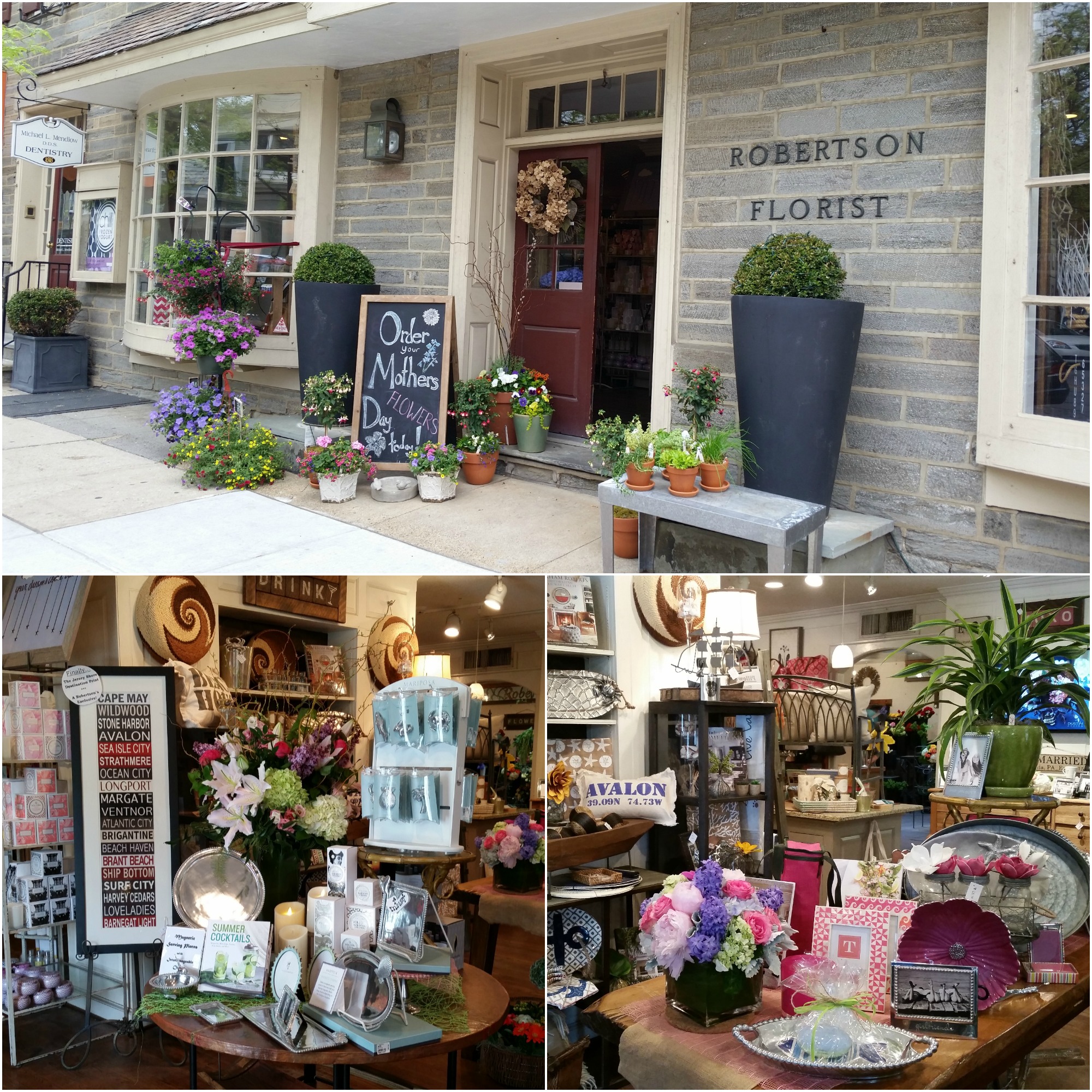 Robertson's Flowers of Chestnut Hill is located at 8501 Germantown Avenue, Philadelphia, PA 19118