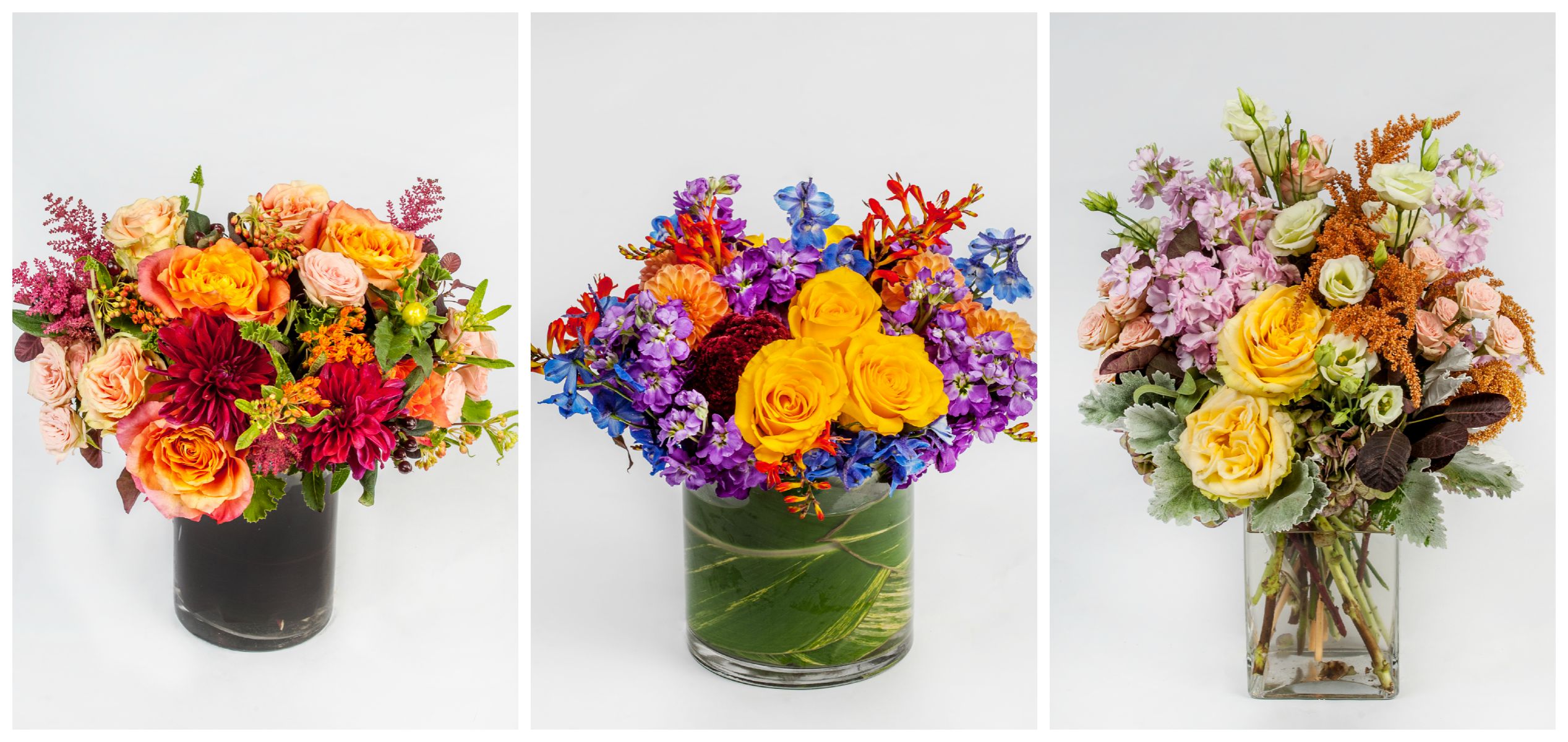 Featured: Saffron Sunset, Prism, Sweet Harmony - just a sample from our latest floral collection. 
