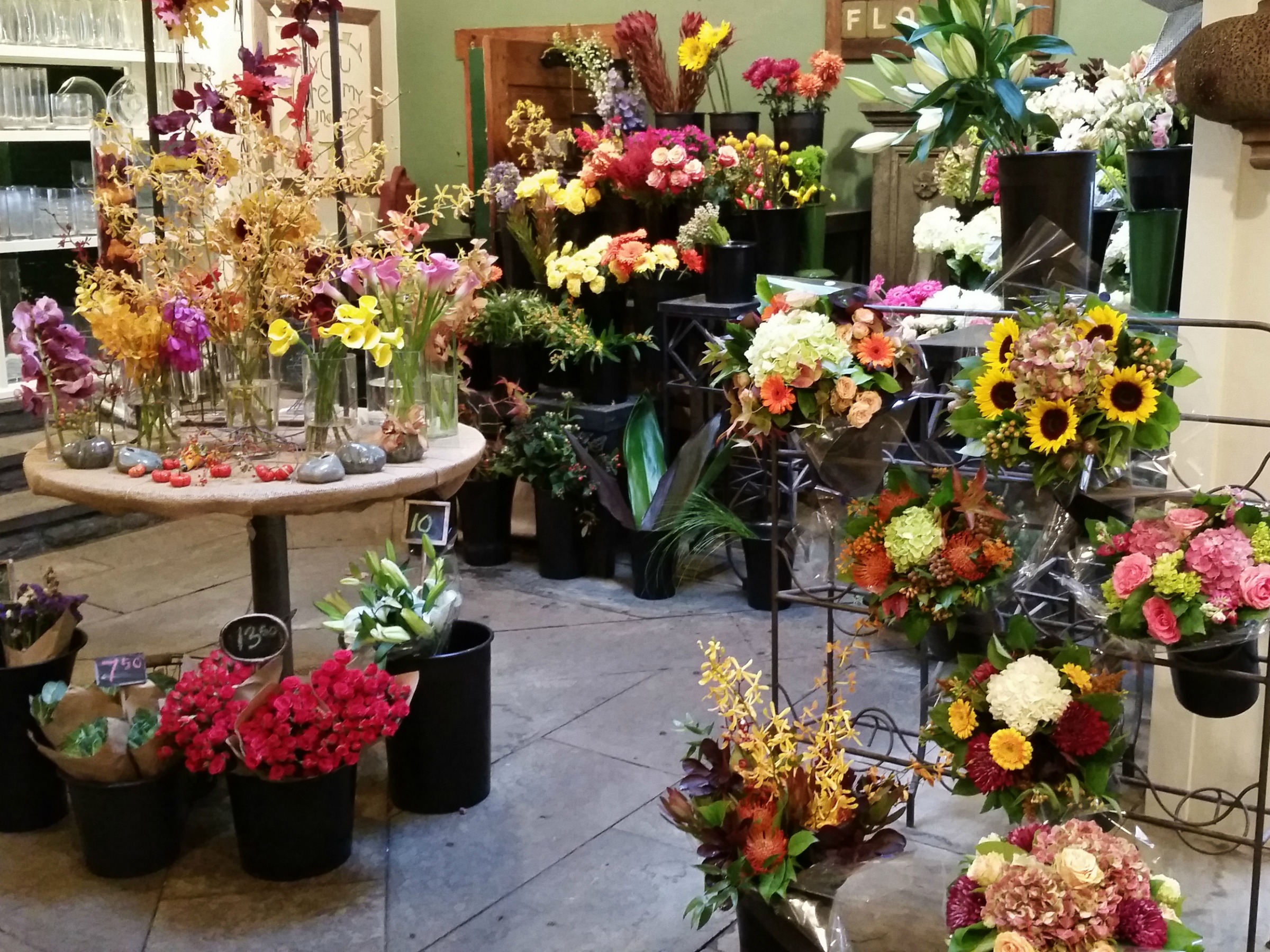 Shop our Chestnut Hill store for all your holiday needs from fresh flowers & plants to candles & linens, home & personal decor.