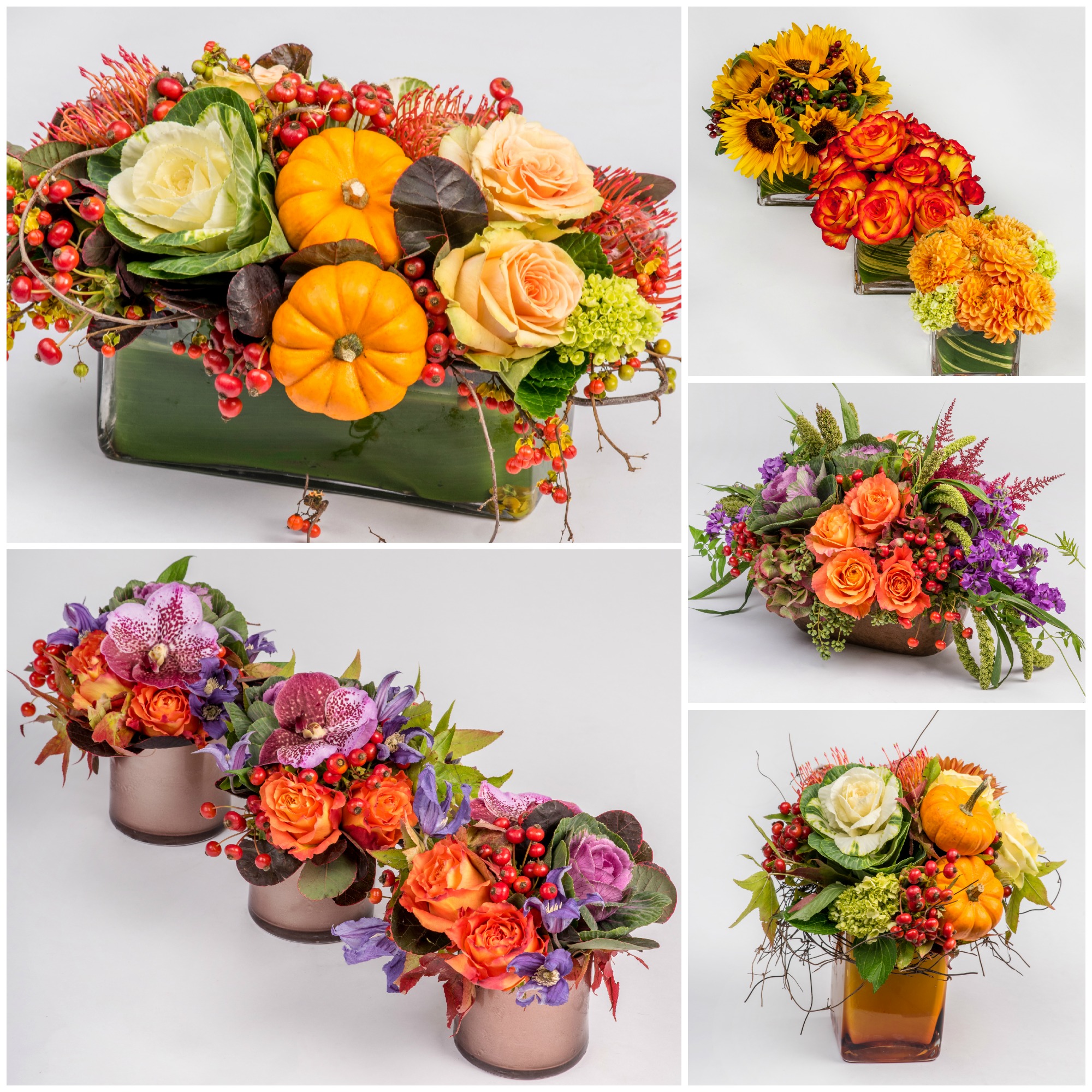 Shop our website, give us a call or visit us at one of our retail locations to order your Thanksgiving centerpiece!