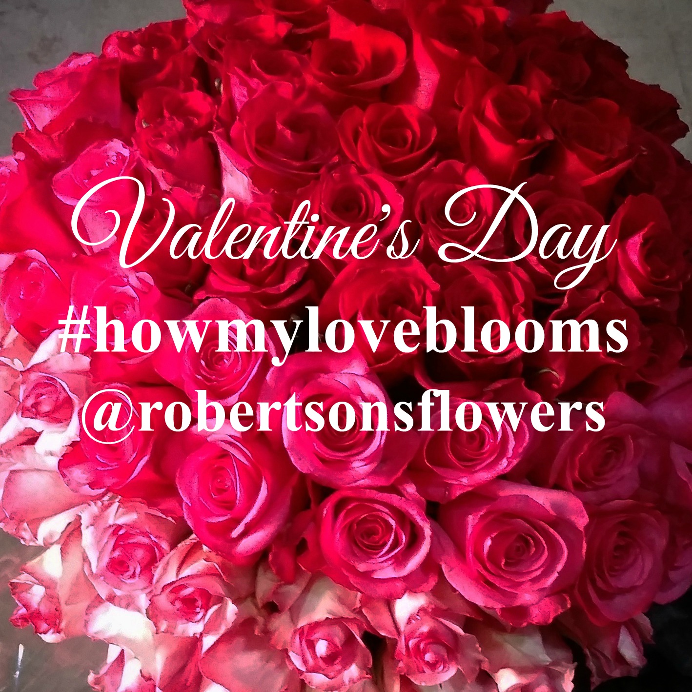 Share an original floral themed photo with us on Instagram, tag @robertsonsflowers and include #howmyloveblooms - 3 Winners chosen onnFebruary 11th to win a $100 Robertson's gift card - just in time for Valentines Day! Contest ends 2/10 at midnight.