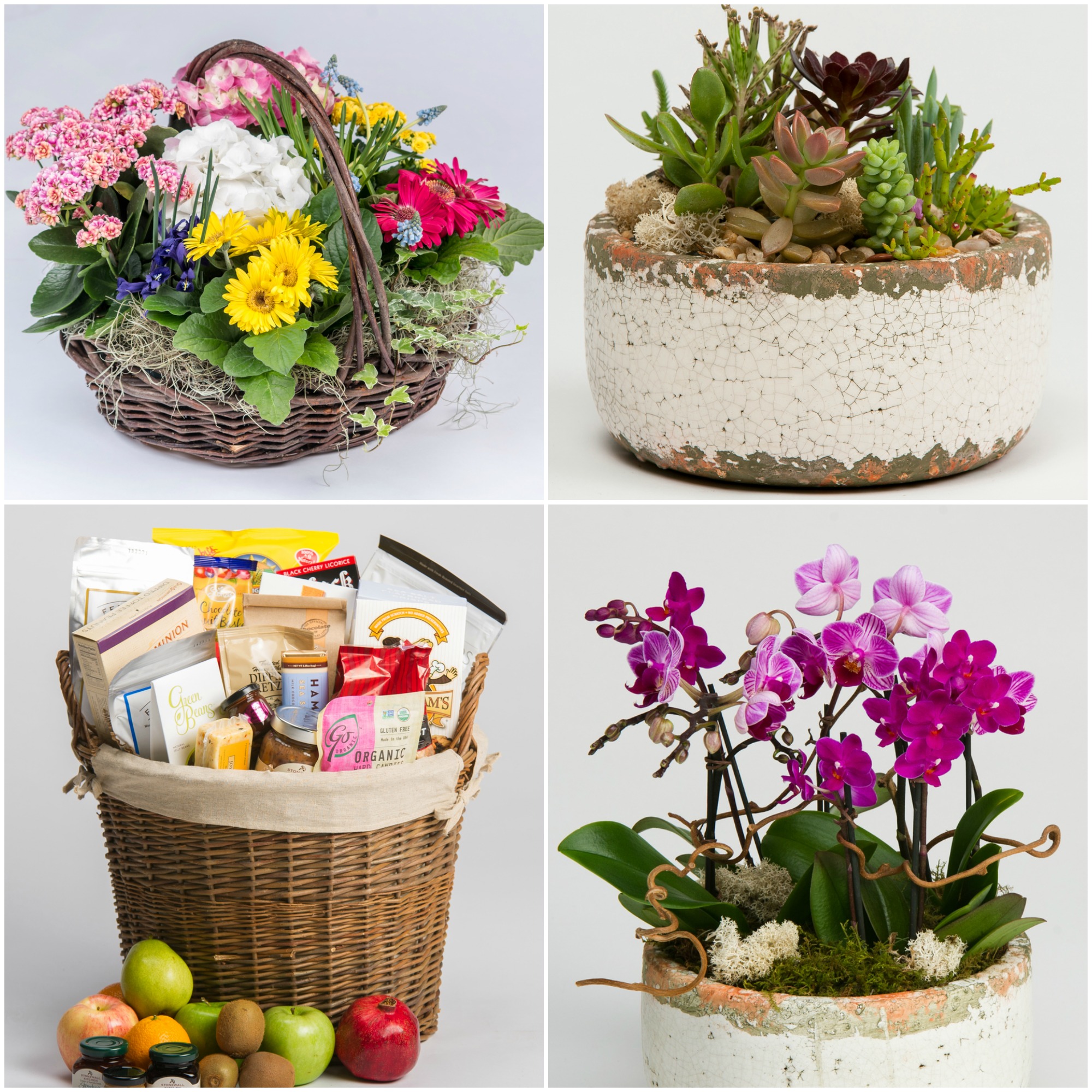 spring plants and gourmet basket
