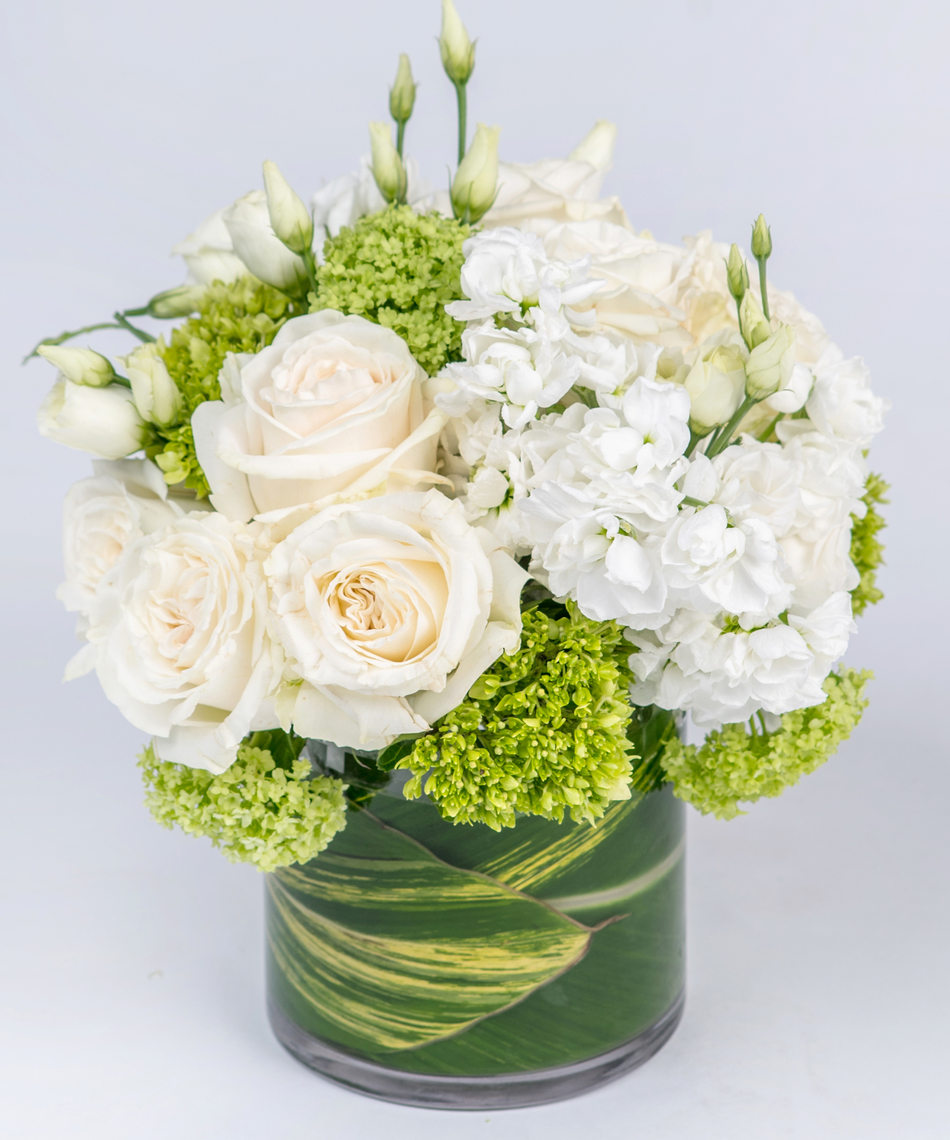 Celebrating May Birthdays with Green Flowers - Robertson's Flowers