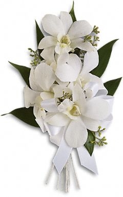 5 White Dendrobium Orchid Corsage by Phoenix Flower Shops