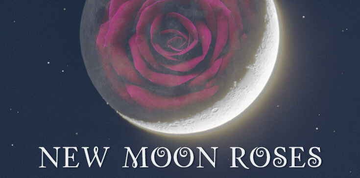 new moon roses