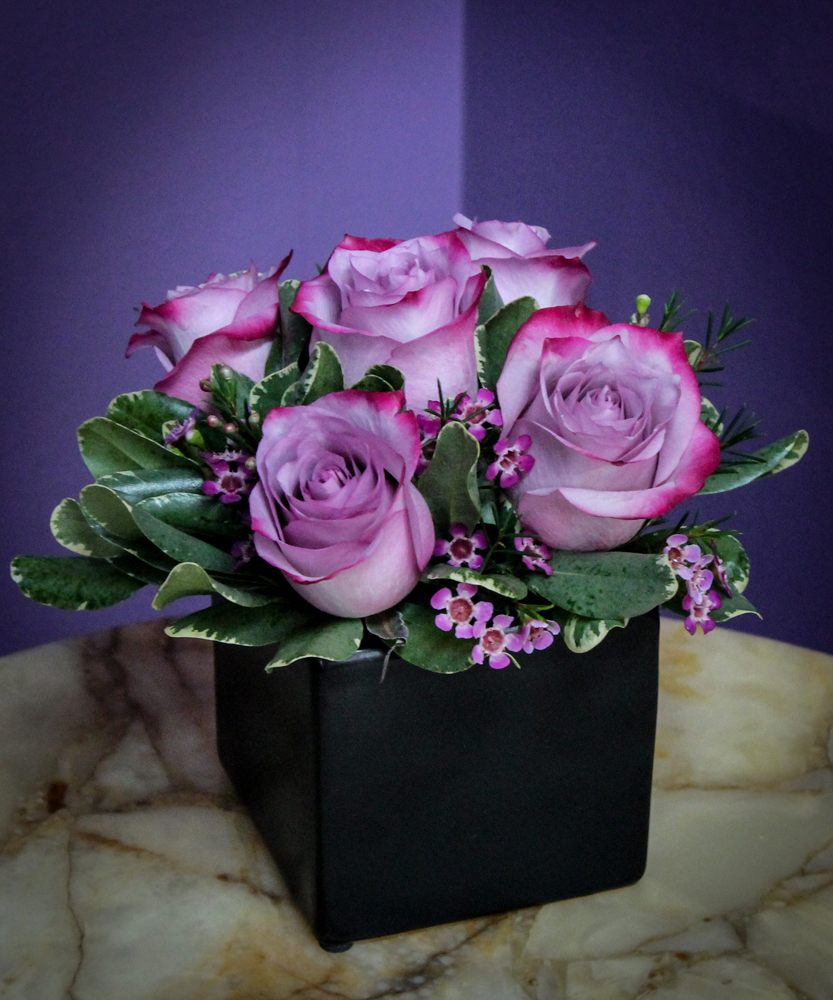 Exquisite Twilight Roses for National Rose Month - Breens Florist