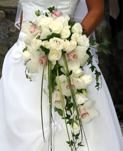 orchid bridal bouquets