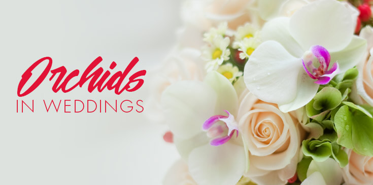 orchid bouquets
