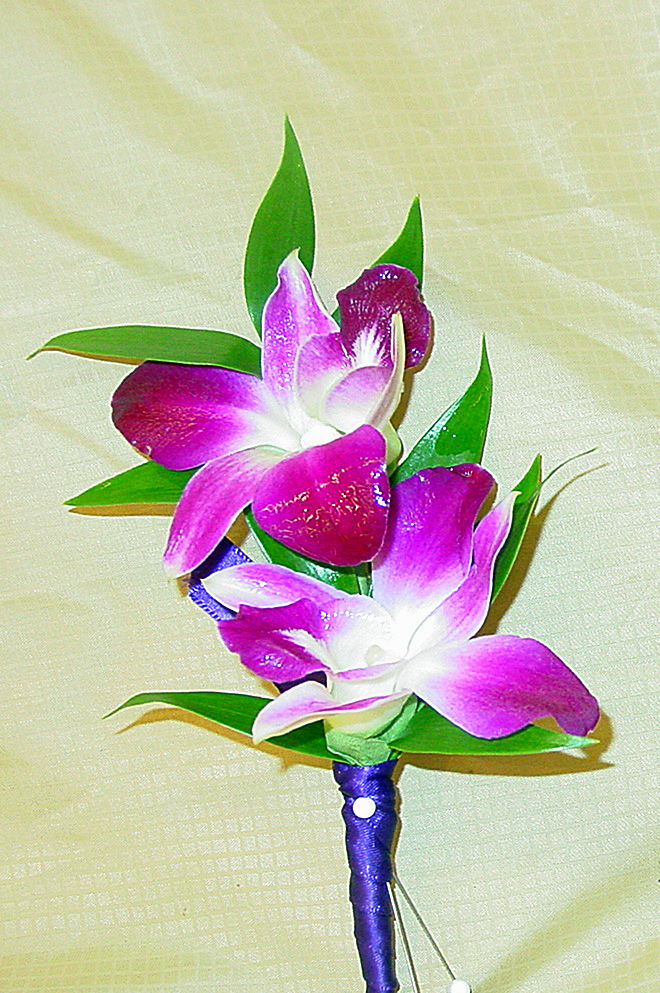 orchid floral designs