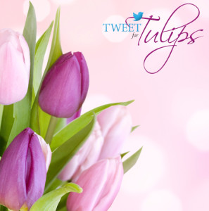 Tweet-for-Tulips-FB-Remarketing