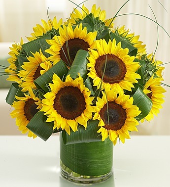 Mr. Sunshine bouquet by Mary Murray's Flowers