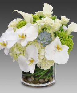 Extravagant Bliss by Mary Murray's Flowers
