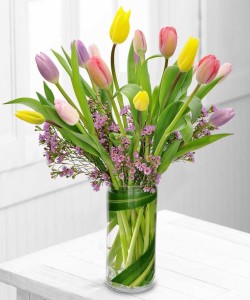Spring Tulips by Durocher Florist