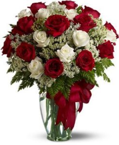 Love's Devine Roses by Durocher Florist