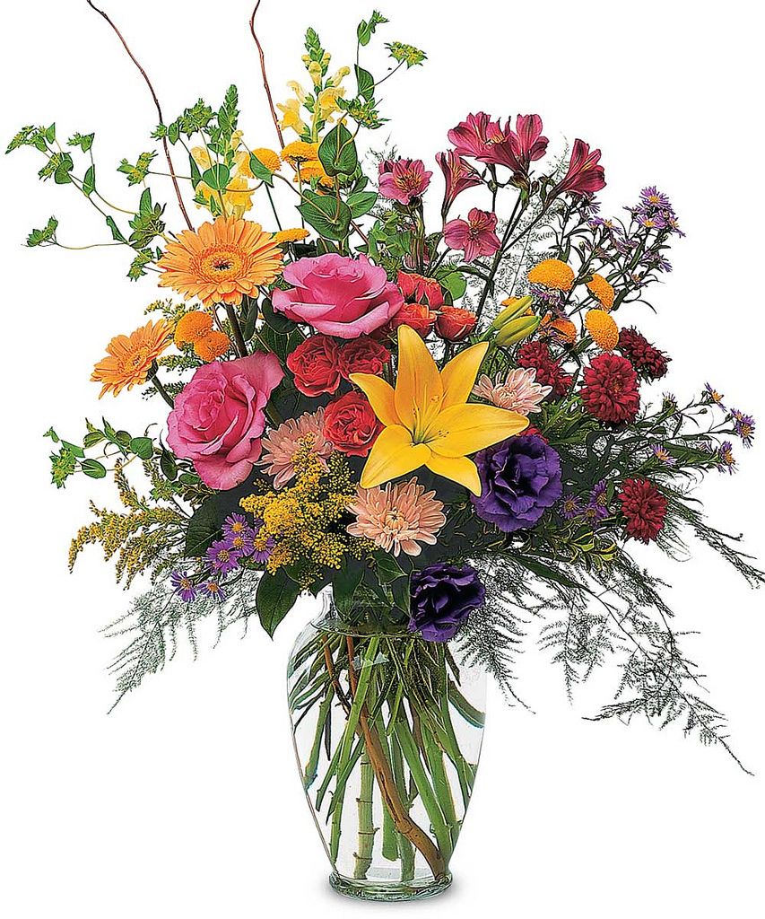 bee friendly flowers