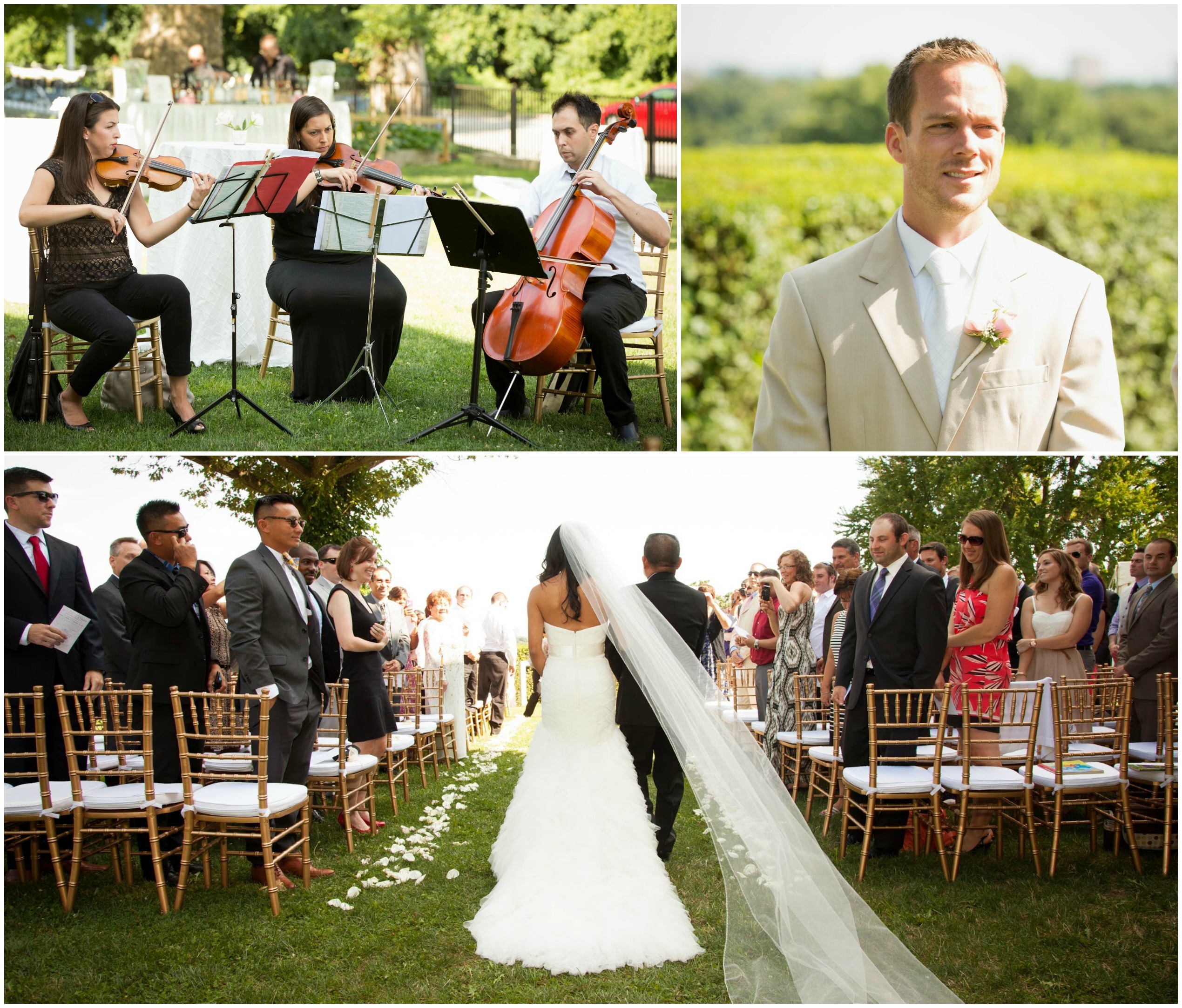 Outdoor ceremony with petal lined aisle