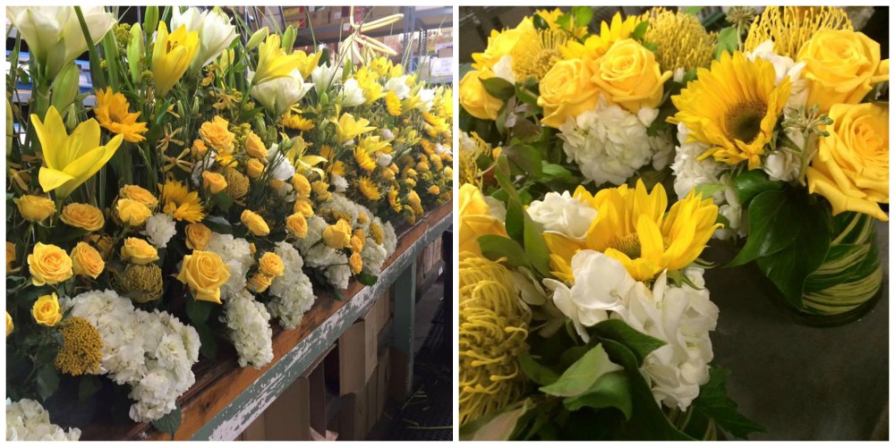 Papal Flowers 2015