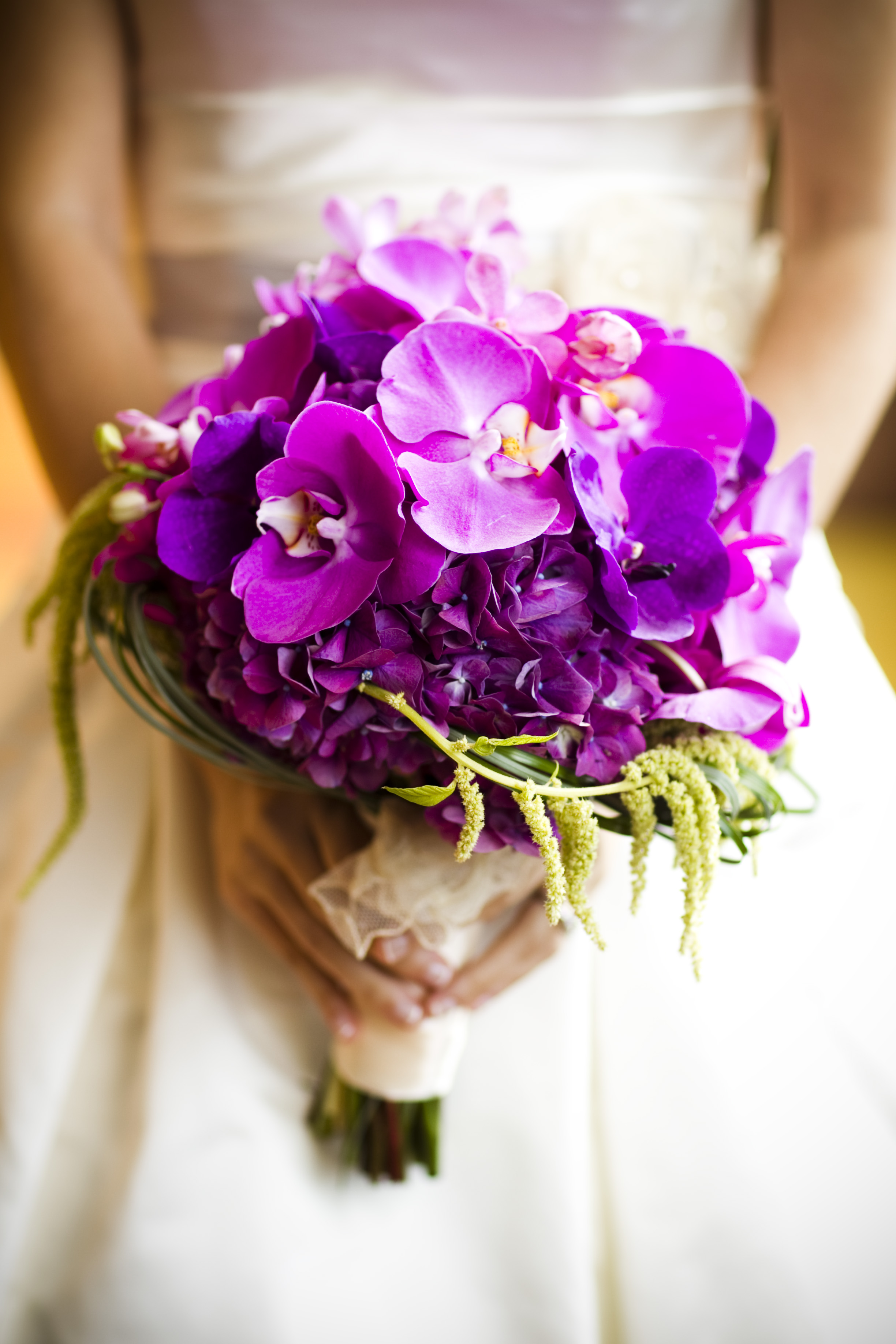 A Brides Guide To Wedding Orchids Robertsons Flowers And Events 8287
