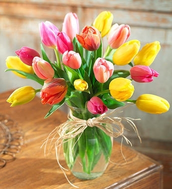 Pretty Fresh Cut Tulips by Mancuso's Florist