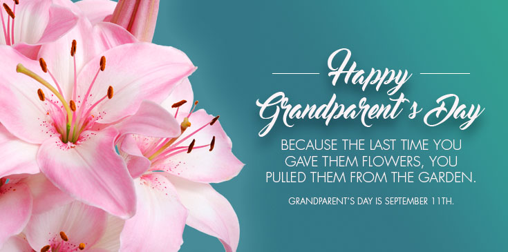 gifts for grandparent's day