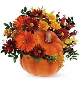 Country Pumpkin by Port Charlotte Florist
