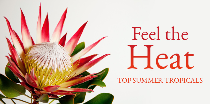 tropical floral arrangements