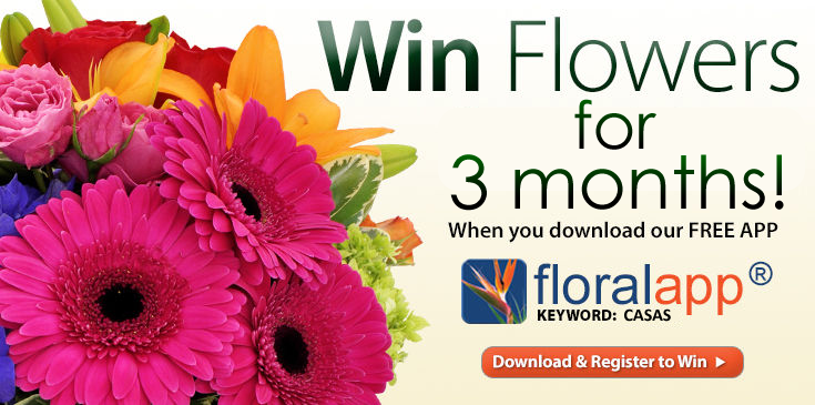 14 - CASAS FLORALAPP HOMEPAGE BANNER WIN 735X365