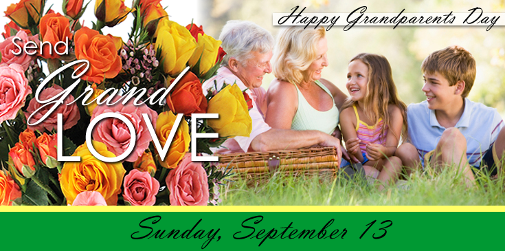 15 - grandparents home page banner 735x365