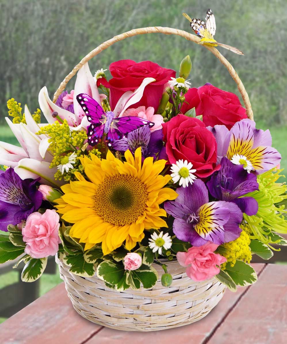 get well flowers