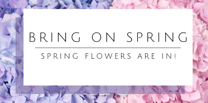 springtime flowers 