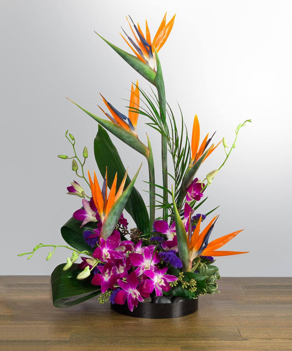 tropical floral designs