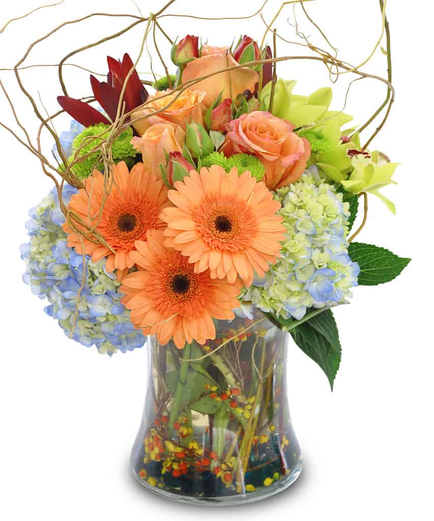 Flowers & Plants for Housewarming Parties Bice's Florist Bice's Florist